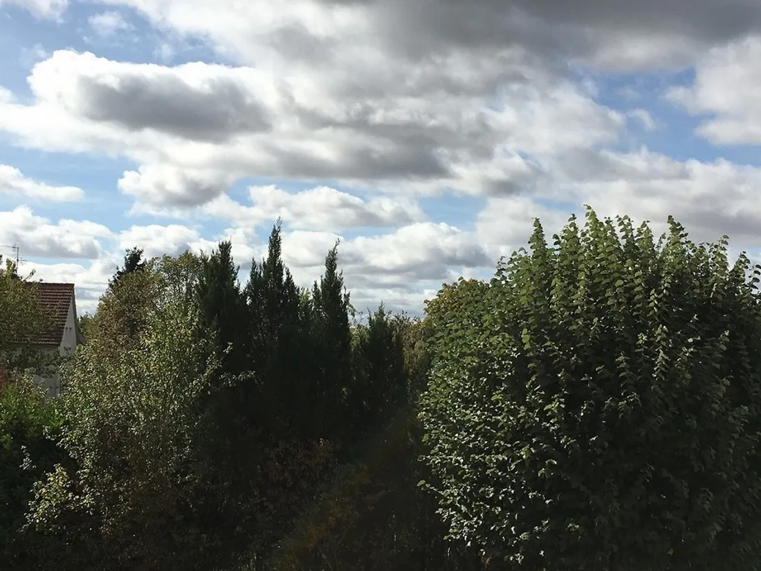 Près de 15 degrés cette semaine en Côte-d’Or